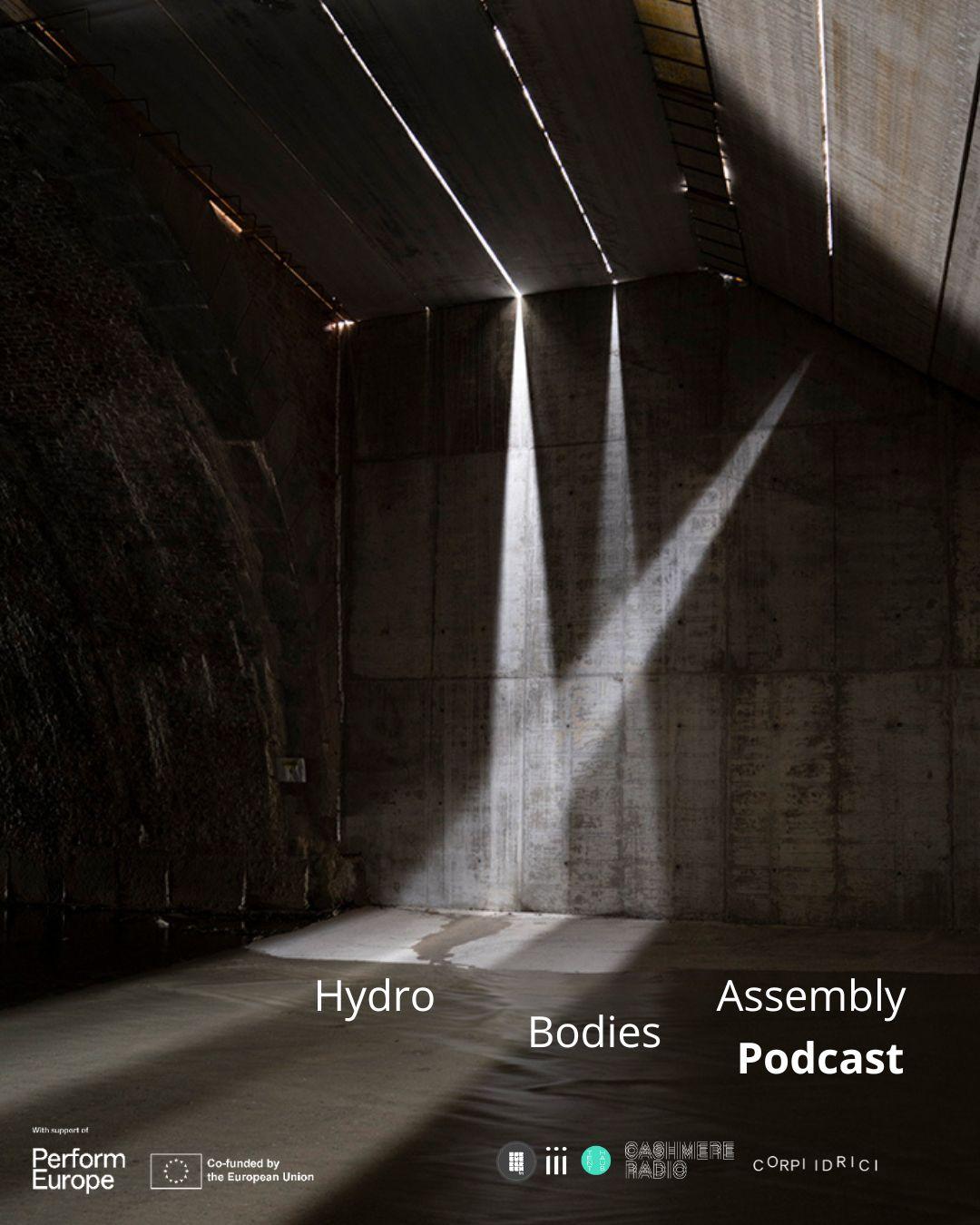 Hydro Bodies Assembly Podcast by Corpi Idrici