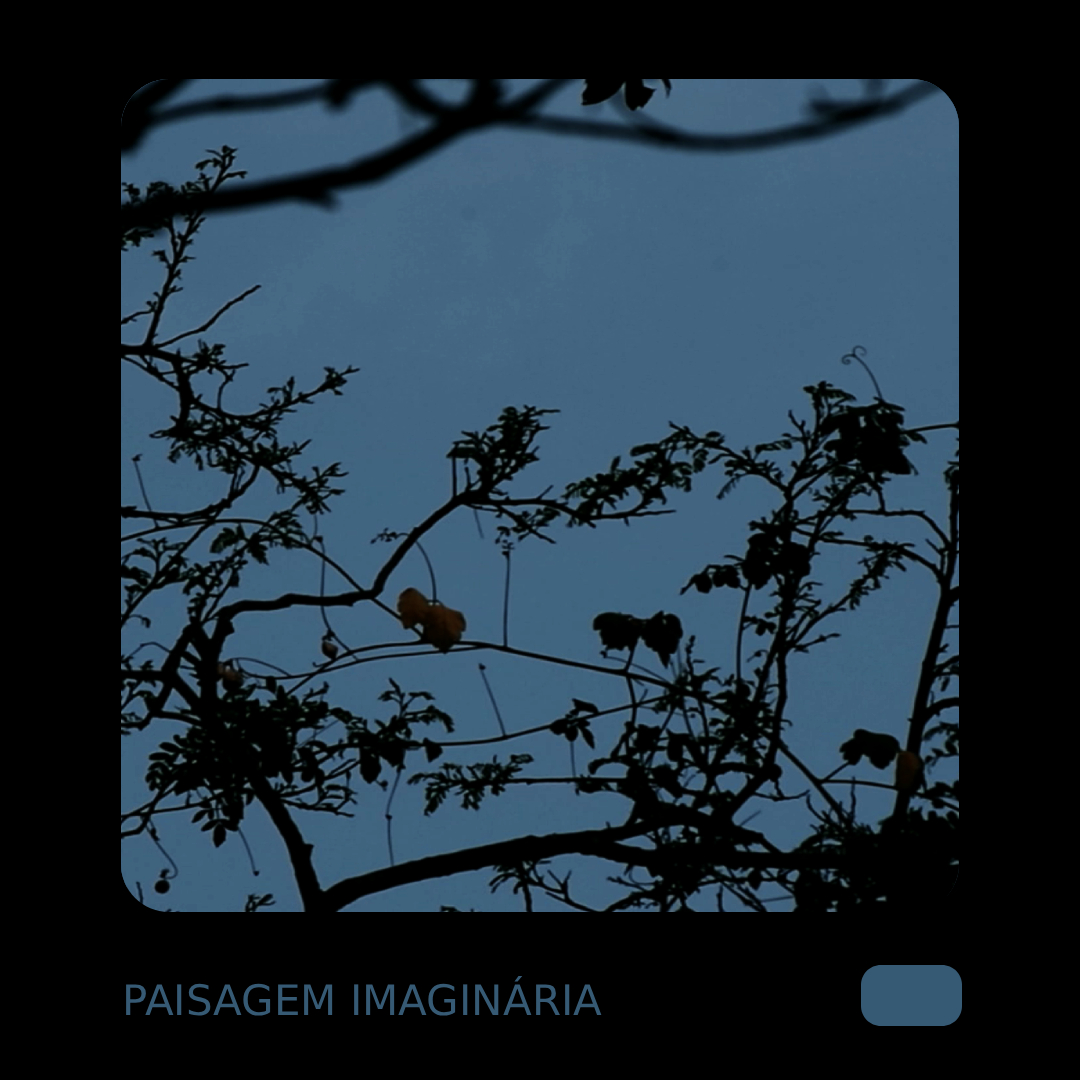 paisagem imaginária