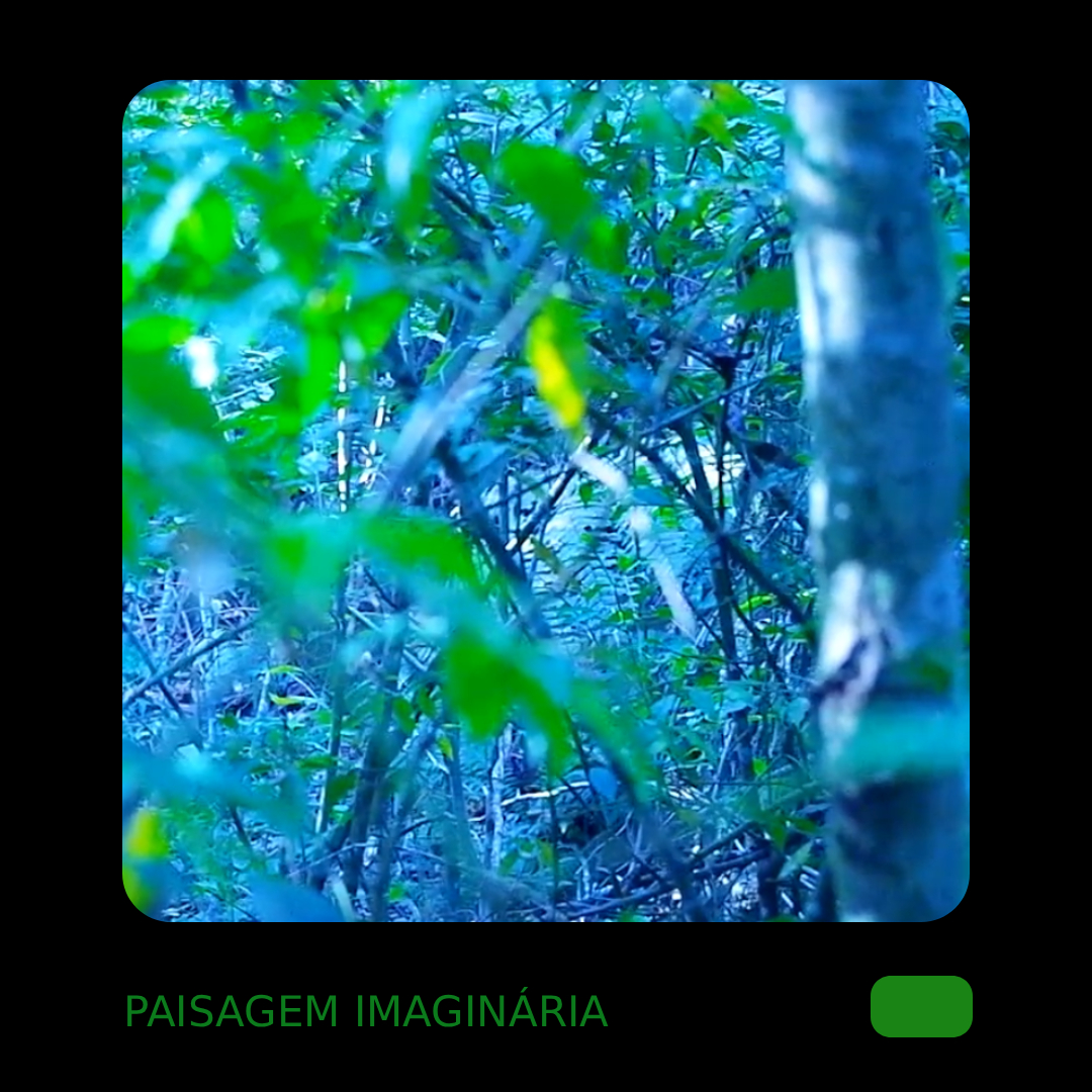 paisagem imaginária - 6