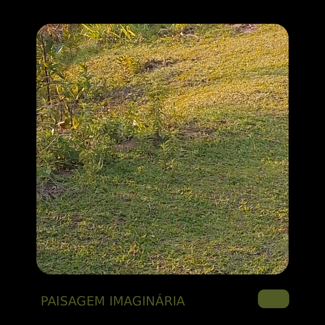 paisagem imaginária