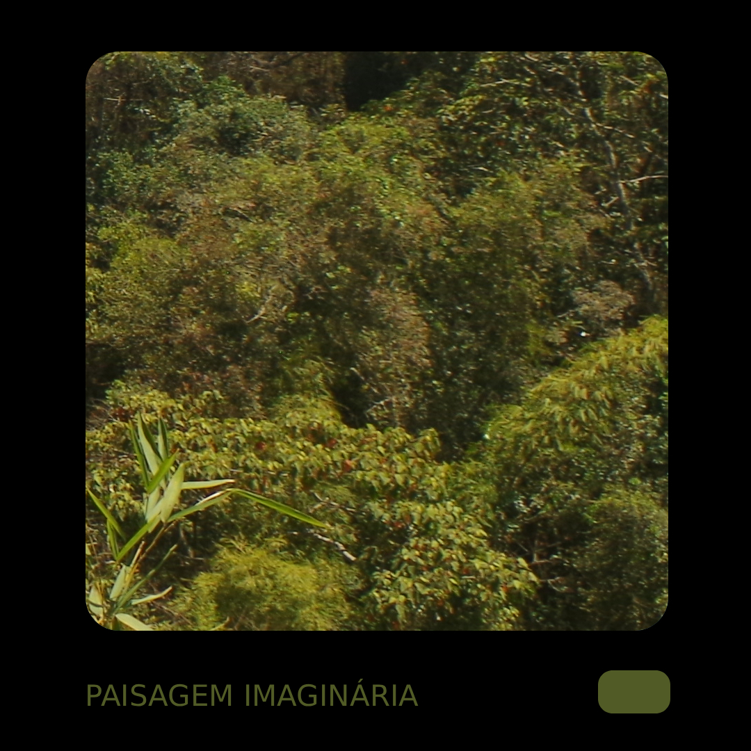 paisagem imaginária